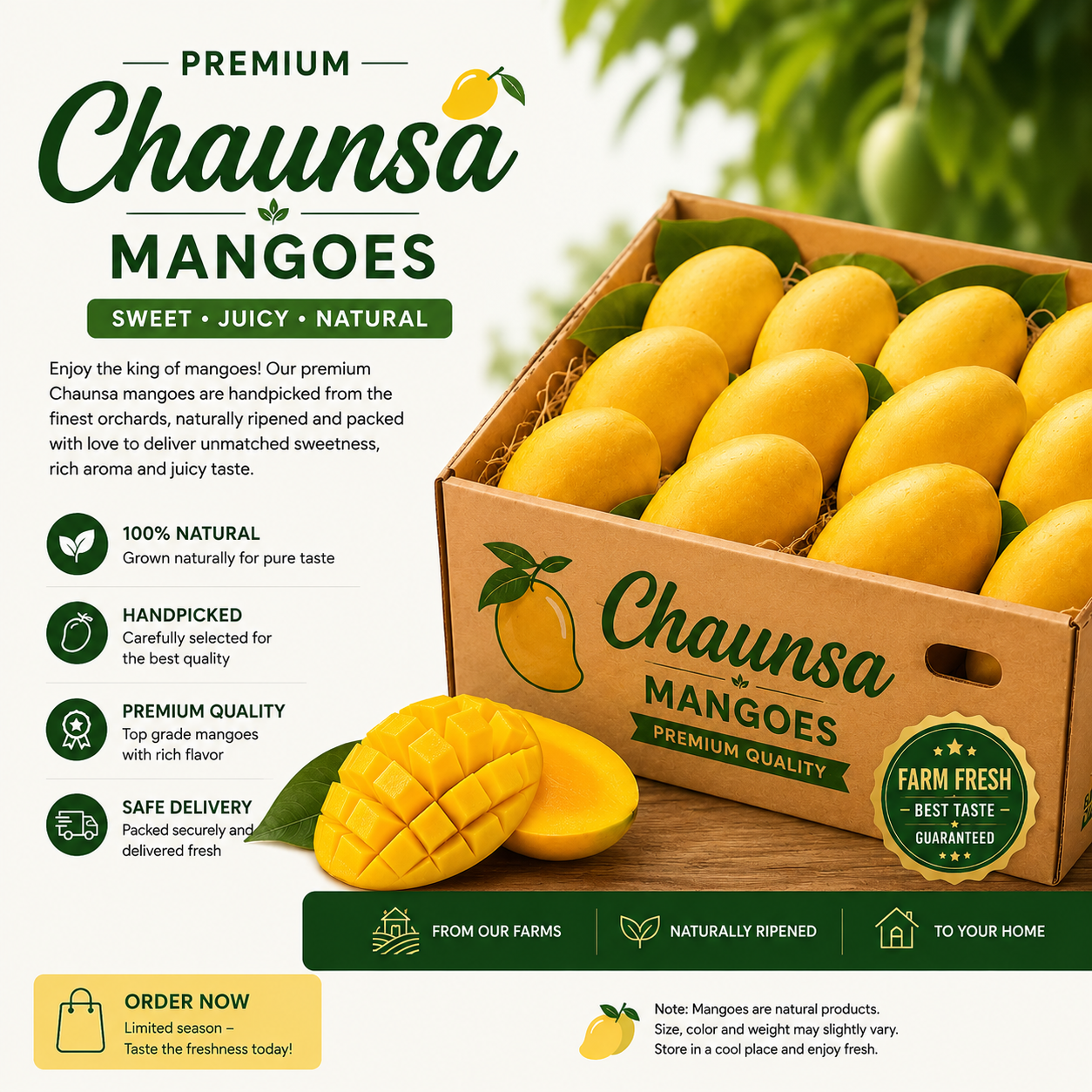 Fresh Chaunsa Mangoes | 100% Natural & Handpicked