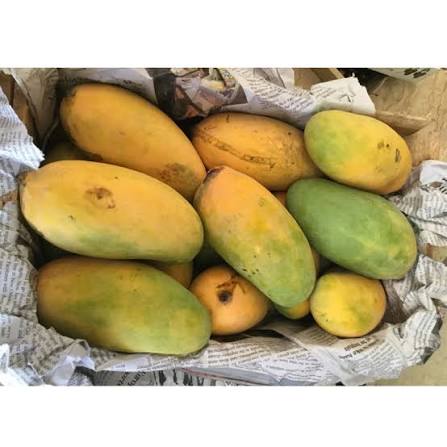 Fresh Chaunsa Mangoes | 100% Natural & Handpicked